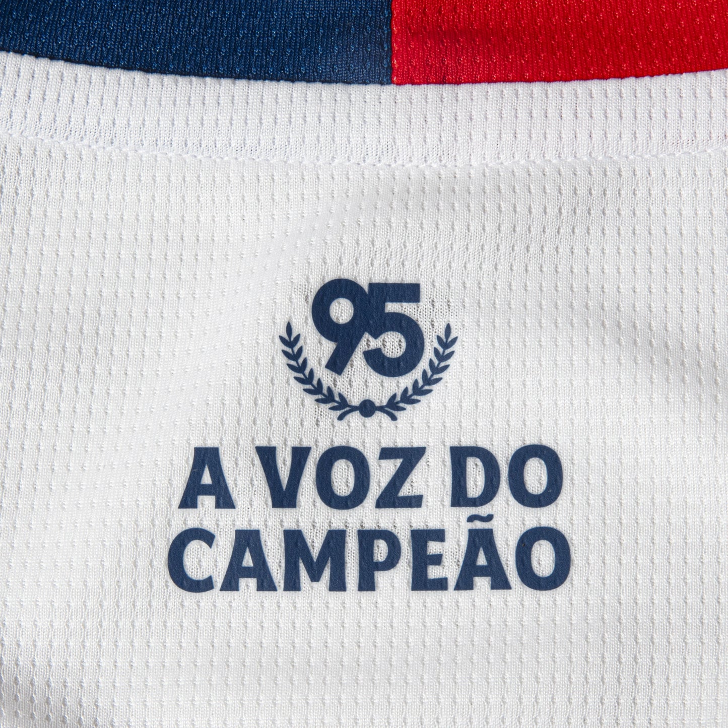 Camisa Torcedor 1 2026 Esporte Clube Bahia Puma Branca Masculina