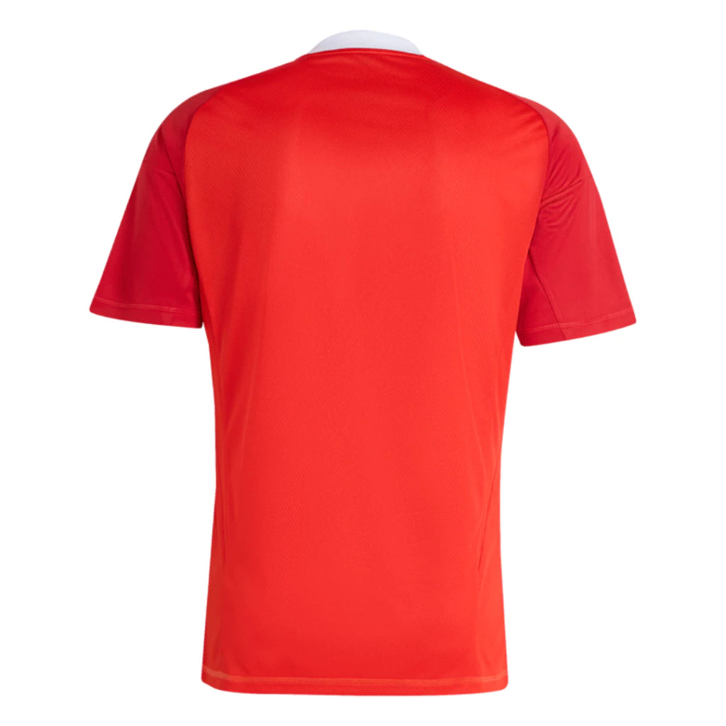 Camisa Flamengo Goleiro 3 2025 Torcedor